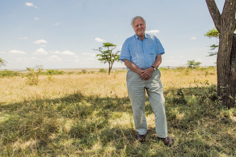 David Attenborough steht im Schatten eines Baumes in der Savanne von Kenia. Das Leben dieses Mannes gilt vielen Menschen als Inspiration.