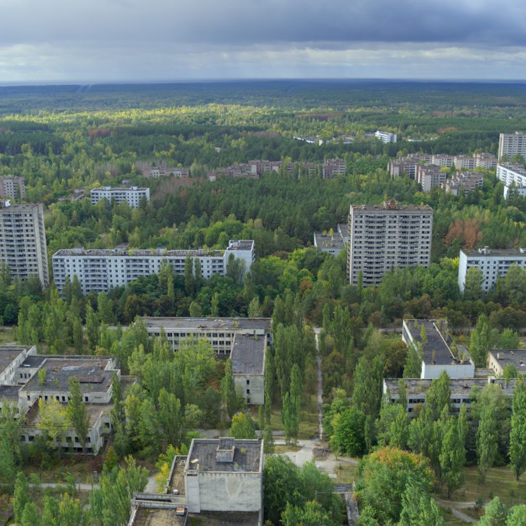 Ein Wald ist auf der ehemalige Arbeiterstadt Tschernobyl gewachsen. David Attenborough hat den Ort in A Life On Our Planet besucht.