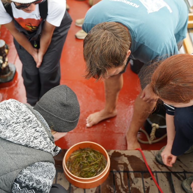 Future-Sail-2025_Nikolas-Baumgartner (54)