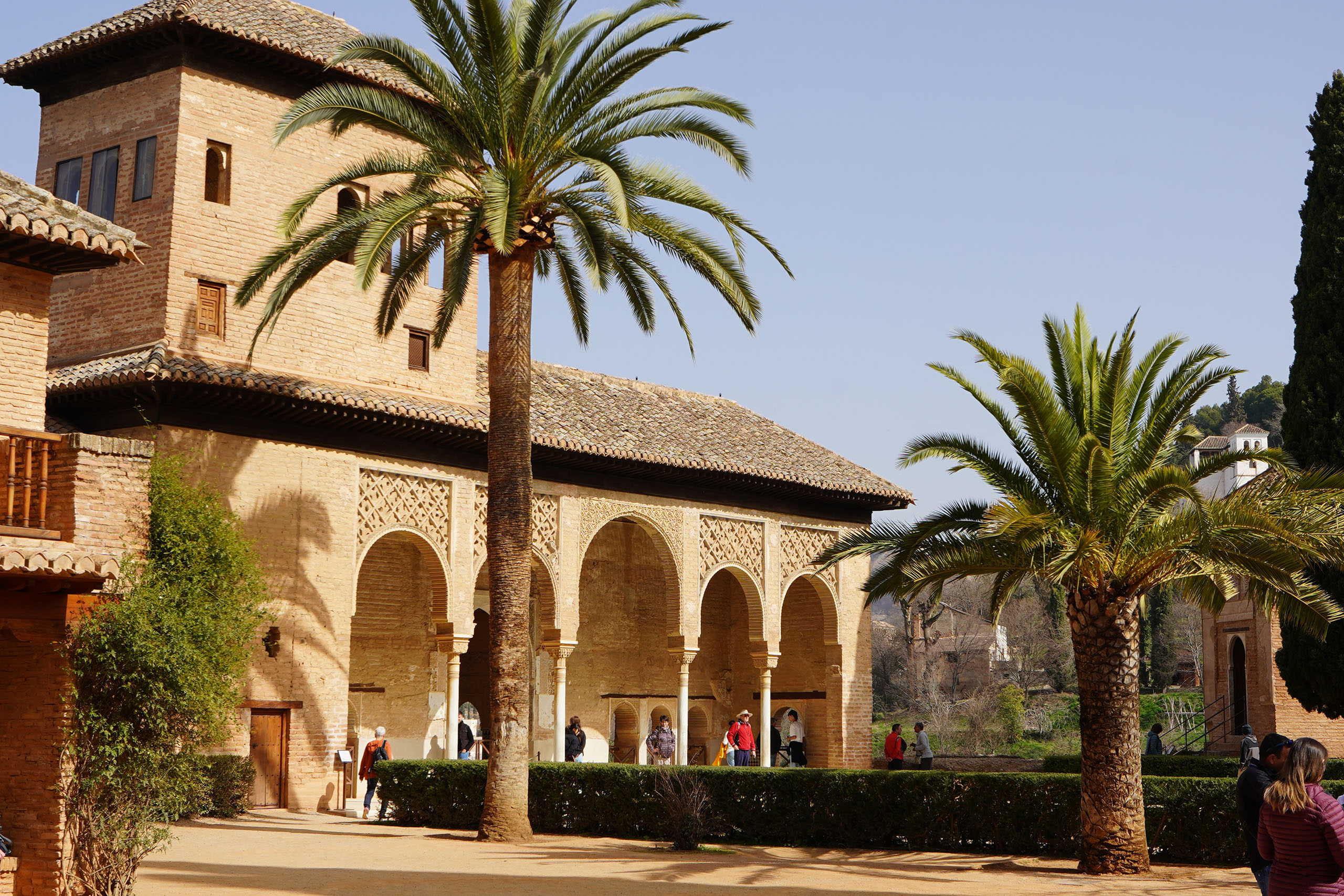 Palmen in einem Alhambra-Innenhof