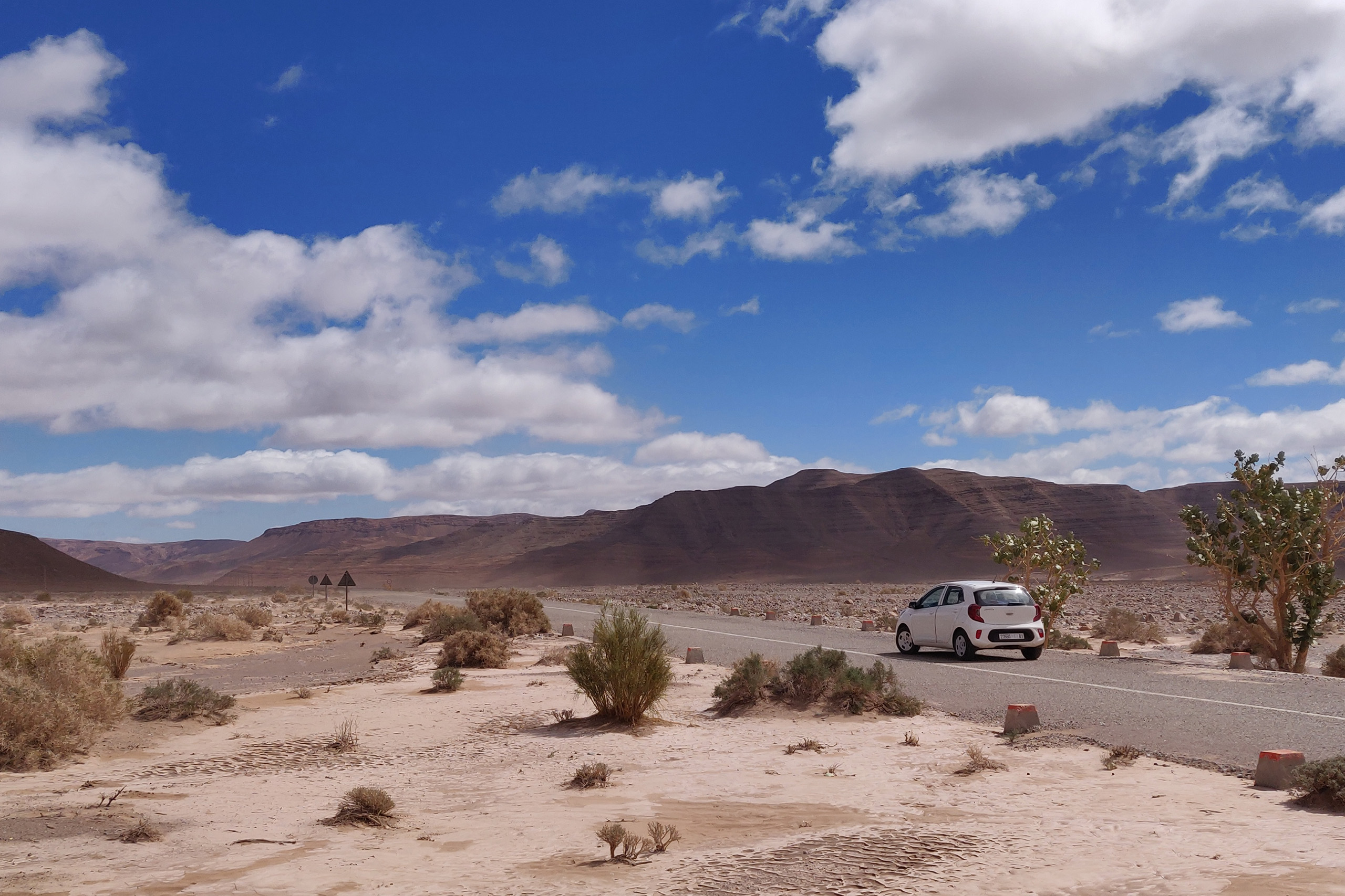 Unser Leihwagen an einem exotischen Baum der am Rande einer Straße steht, die durch die marokkanische Wüste führt.