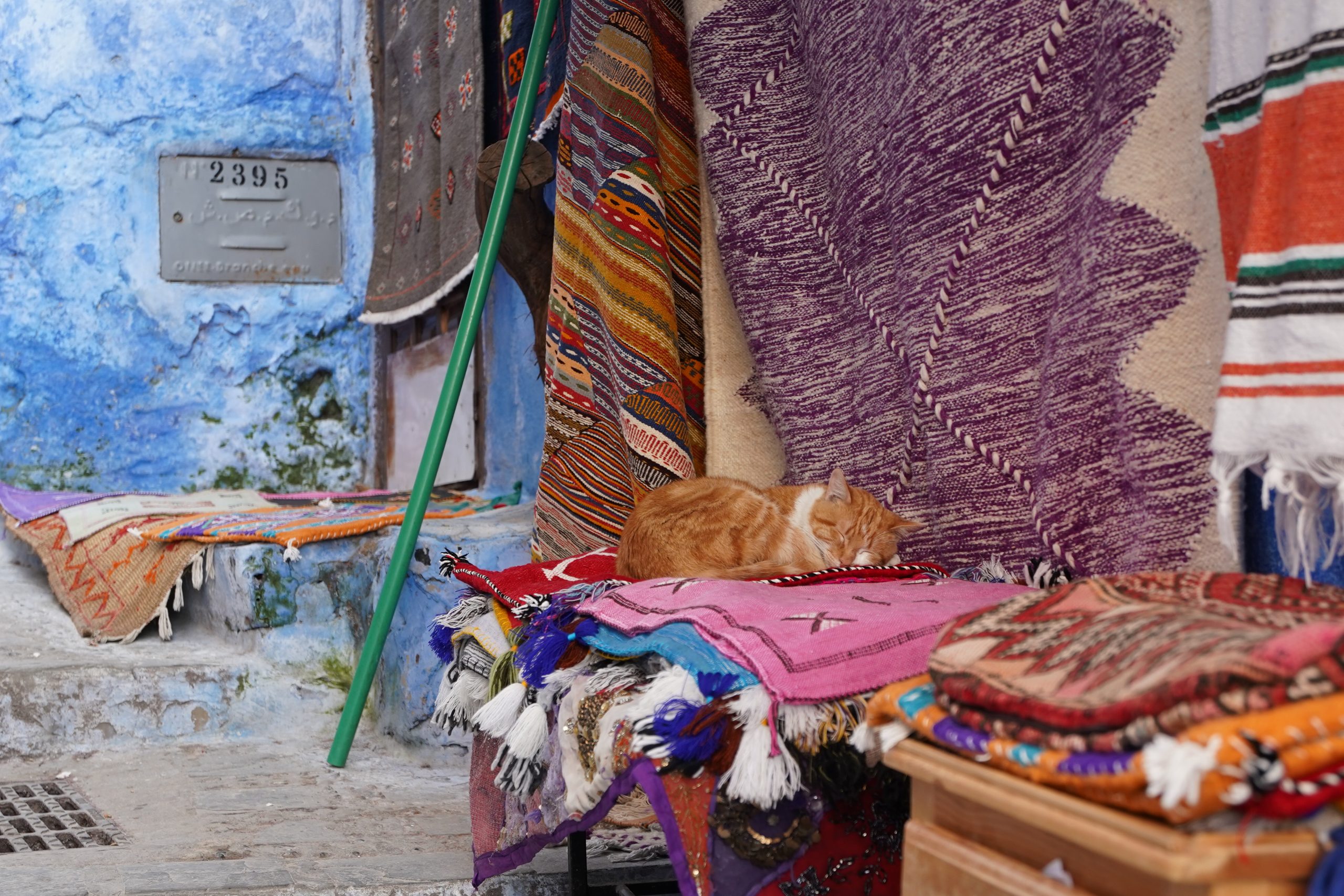 Eine Katze hat sich auf bunten Gewändern eines marokkanischen Geschäfts zum Mittagsschlaf hingelegt.
