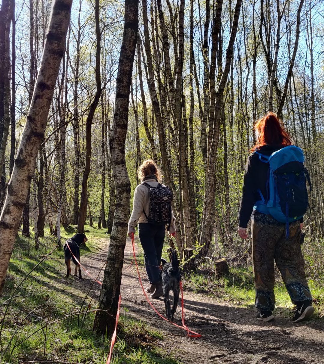 Zwei Frauen gehen mit Hunden im Wald spazieren.