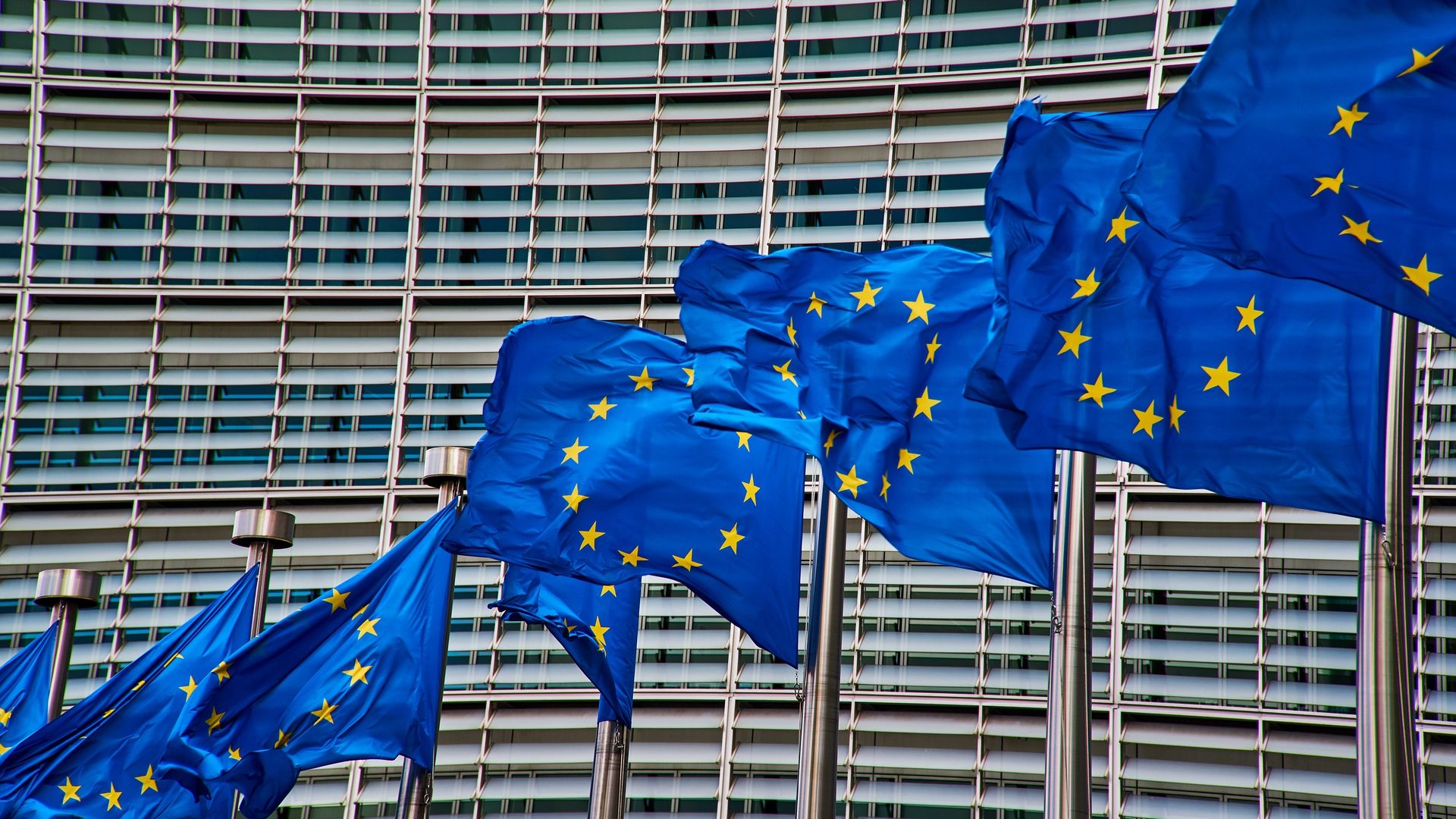 Europaflaggen wehen vor dem Europäischen Parlament in Brüssel. Die EU ist eine beliebte Adressatin für Petitionen.