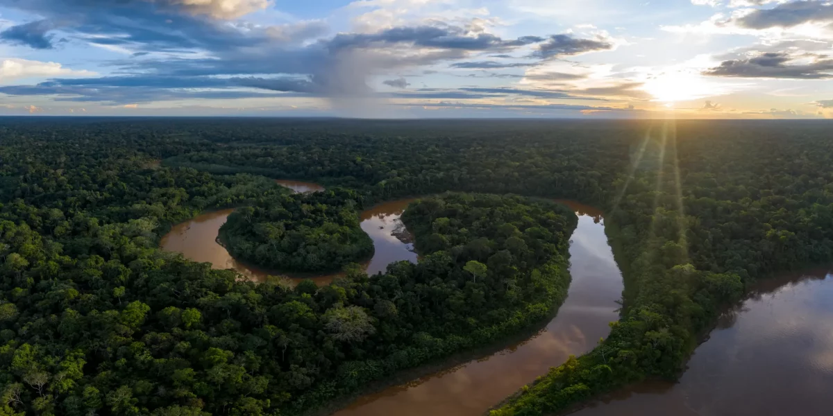 Ein geschlängelter Fluss im Regenwald mündet in einem größerem.